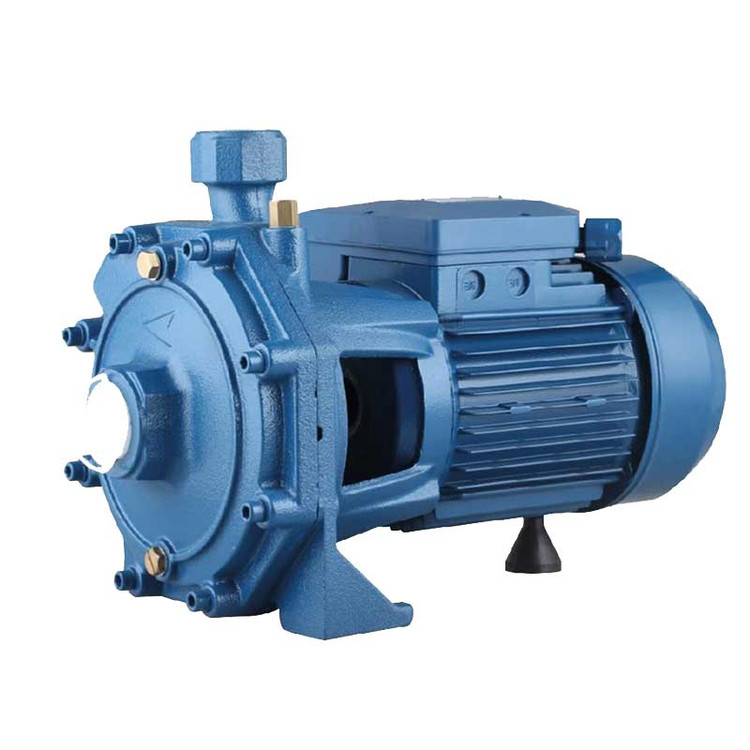 پمپ 2 اسب 2 پروانه ورما برای پمپاژ آب تمیز در پروژههای کشاورزی و صنعتی