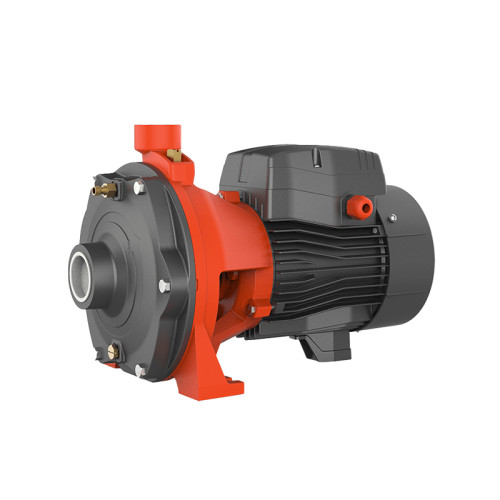 دو اسب 2 پروانه