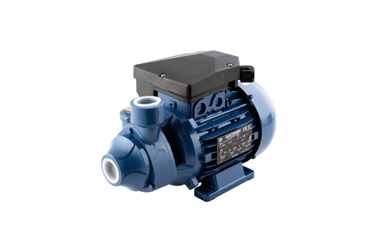 یک اسب کوچک الکتروژن