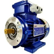 الکتروموتور سه فاز 3000 دور